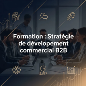 Formation : Stratégie de développement commercial B2B